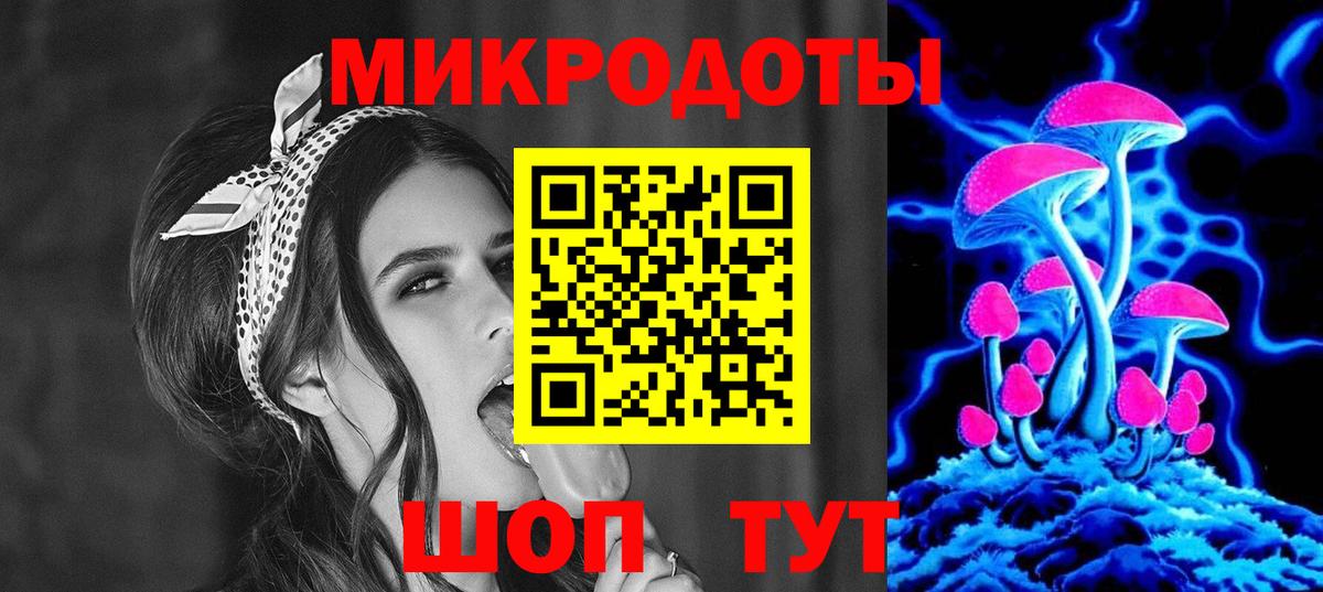 Галлюциногенные грибы Psilocybe Мценск